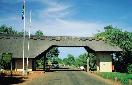 Krugerpark