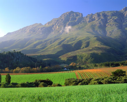 Stellenbosch