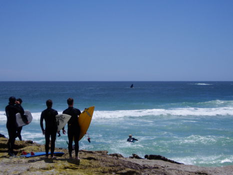 Surfen Kaapstad