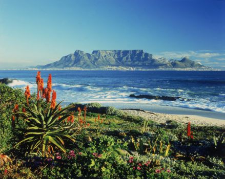 Table Mountain National Park