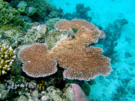 Kepulauan Seribu Marine National Park