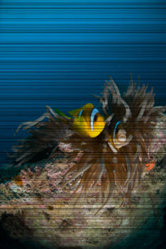 USS Liberty Shipwreck