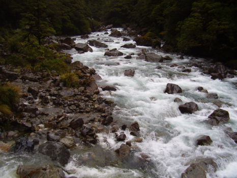 Fiordland National Park