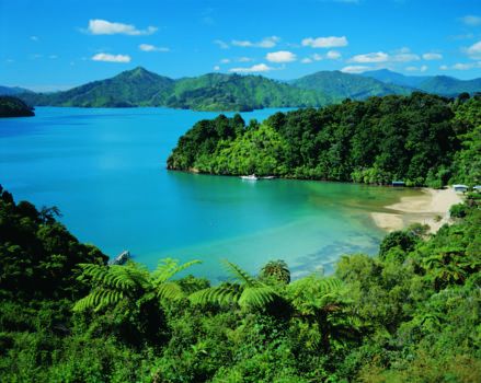 Marlborough & Nelson