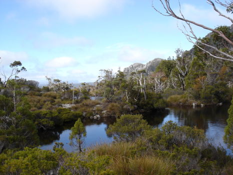 Cradle Mountain-Lake St. Clair National Park