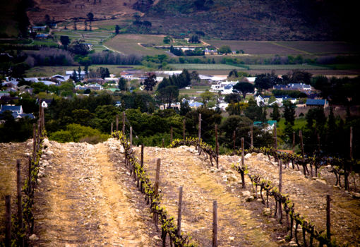 Franschhoek