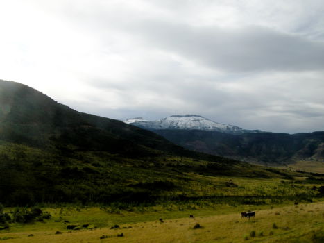 Inyathi Buffalo Route