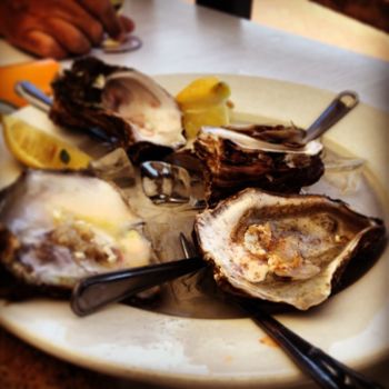 Knysna Oesterfestival