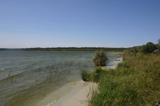 Kosi Bay Nature Reserve
