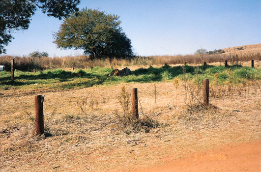 Krugersdorp Game Reserve