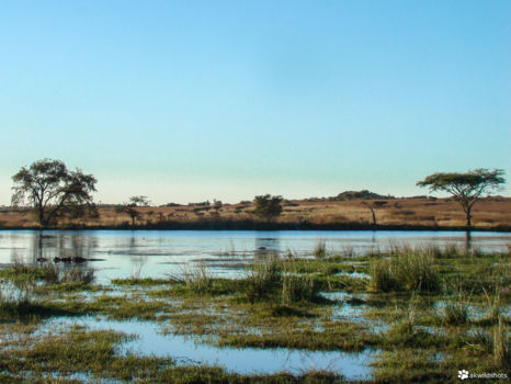 Nambiti Private Game Reserve