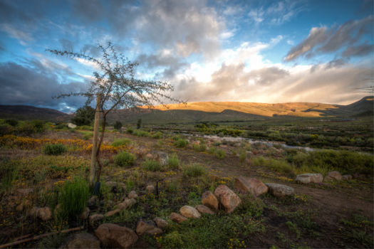 Olifants River Valley