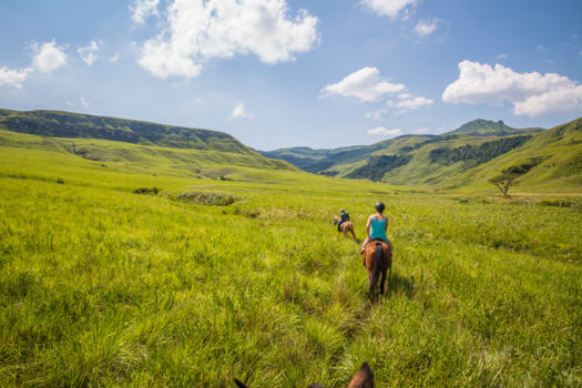 Paardrijden Drakensbergen
