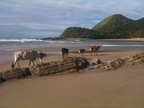 Port St Johns