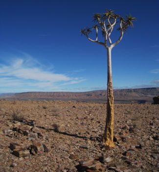 Richtersveld National Park