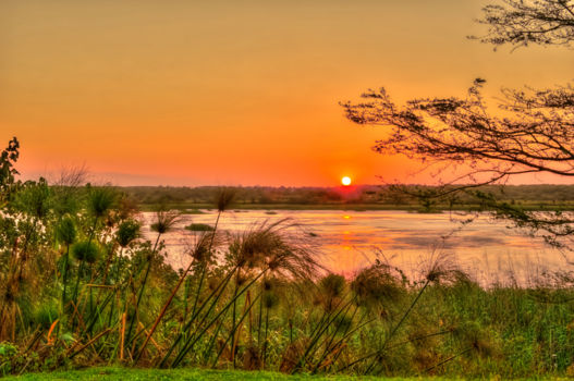 Zuid-Afrika