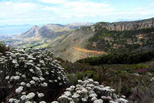 Table Mountain National Park