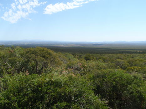 Addo Elephant National Park