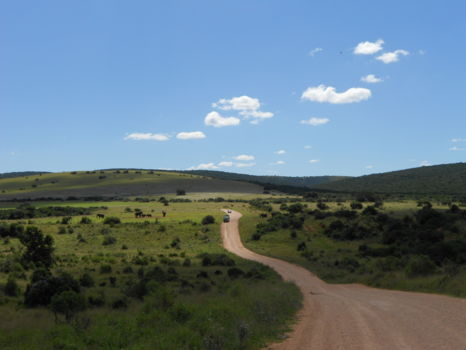 Addo Elephant National Park