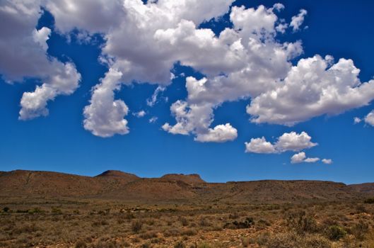 The Karoo