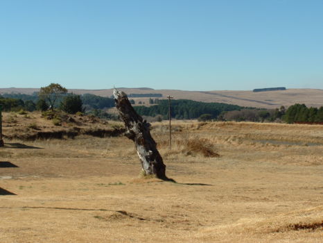 Tonteldoos Country Festival