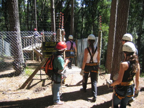 Tsitsikamma Canopy Tour