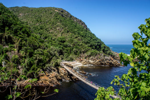 Tsitsikamma Canopy Tour