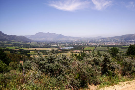 Wellington (Zuid-Afrika)