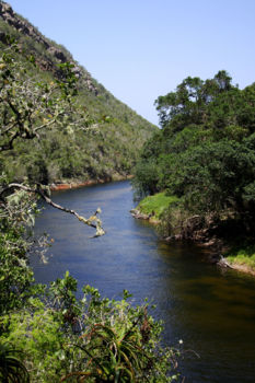 Wilderness National Park