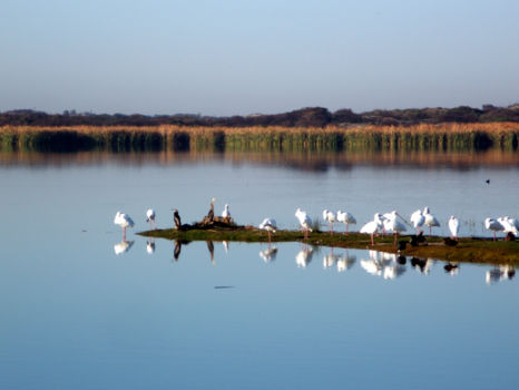 Wilderness National Park