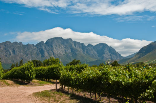 Franschhoek