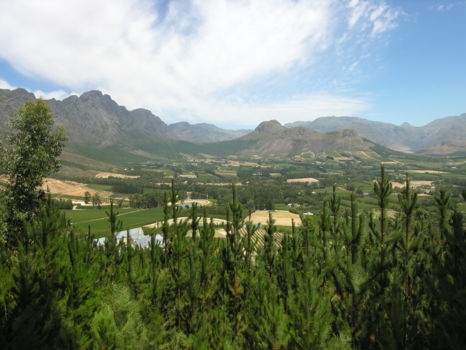 Franschhoek