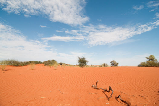 Kalahari
