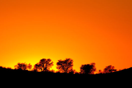 Kalahari
