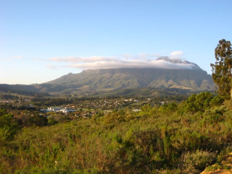 Stellenbosch