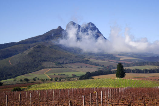 Stellenbosch