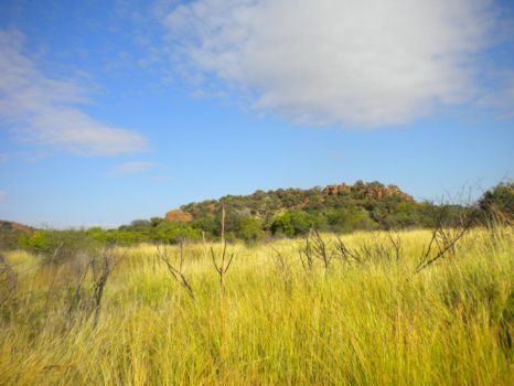 Pilanesberg National Park