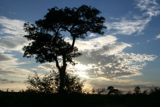 Krugerpark
