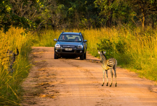Krugerpark