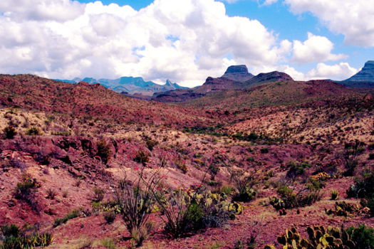 Big Bend National Park