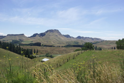 Te Mata Peak