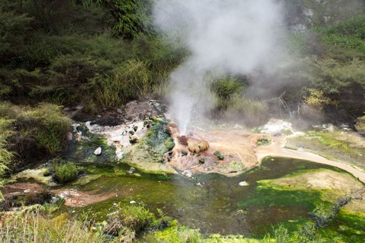 Waimangu Volcanic Valley