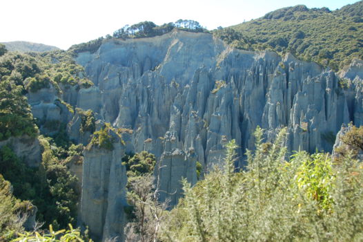 Wairarapa Coast