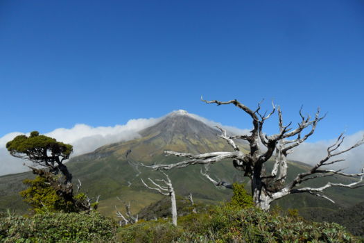 Egmont National Park
