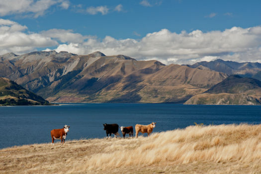 Lake Hawea
