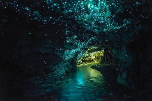 Te Anau Glowworm Caves
