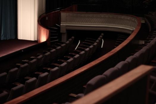 Wellington International Film Festival