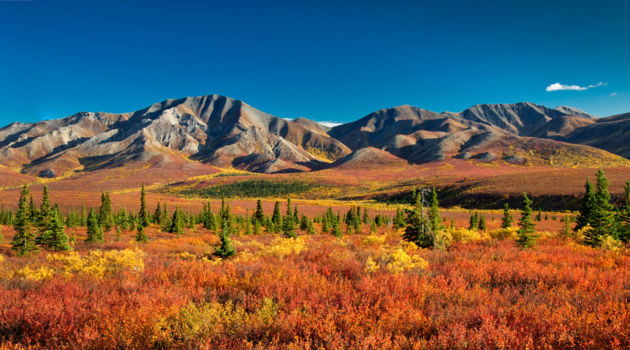 Alaska