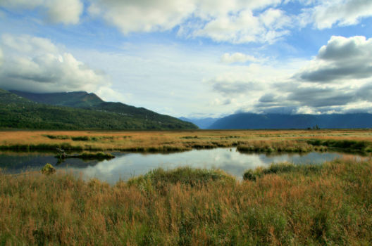 Alaska