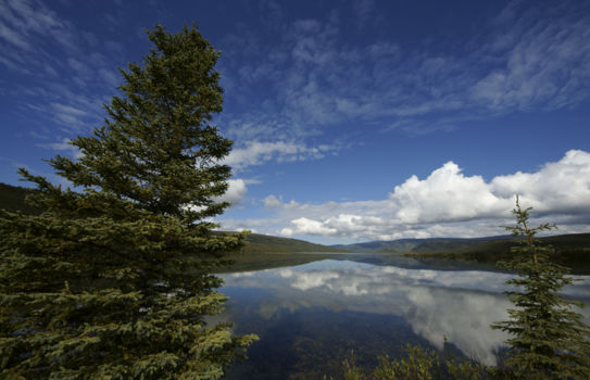 Alaska